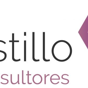 CASTILLO CONSULTORES