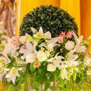 VERÓNICA FLORISTAS