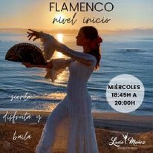 ESCUELA DE DANZA LUCIA MUÑOZ