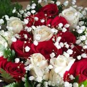 VERÓNICA FLORISTAS