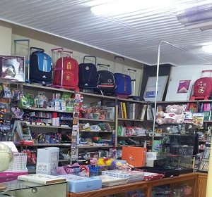 LIBRERÍA ALVI