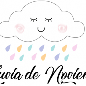 LLUVIA DE NOVIEMBRE LLUVIA DE NOVIEMBRE