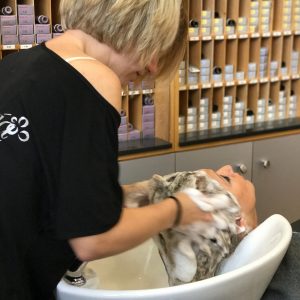 ALEGRÍA PELUQUEROS